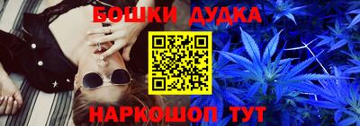 стафф Кандалакша